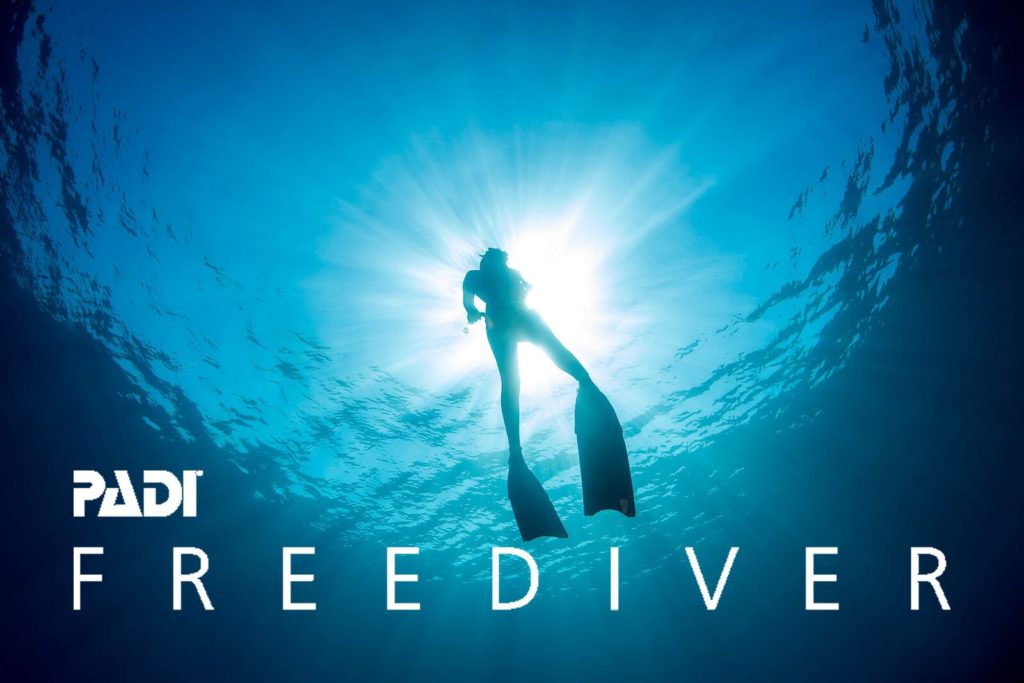 Moalboal Freediver